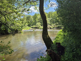 Wasser-/Wiesenseminare