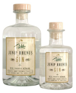 GIN (FRUCHTIG)