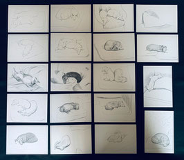 デイヴィッド・ホックニー “  DAUCHSHUND DRAWING ” ポストカード･コレクション