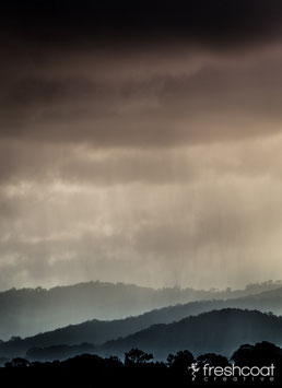 MOUNTAIN RAIN