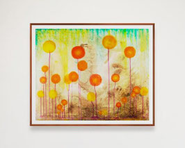 Sans titre 12 — Tirage fine art floral abstrait