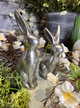 Hase silber