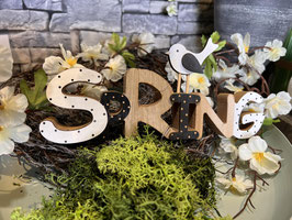 Schriftzug Spring