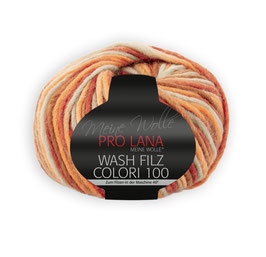 Pro Lana Wash Filz Colori 100 / 704