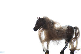 Cheval brun