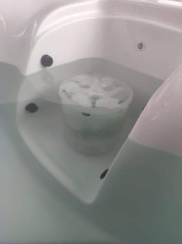 EGO3 Filter für Home Deluxe Whirlpools - 1 3/4 Inch/Zoll GROBGEWINDE, seitlich gelocht - Whirlpoolfilter Startset