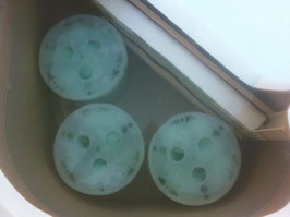 EGO3 Filter für Sunrise Spas & Paragon Whirlpools - 1_3/4 Inch/Zoll FEINGEWINDE Whirlpoolfilter Startset