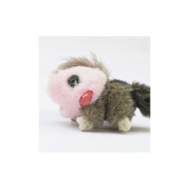 Gefiedertes Schweinchen