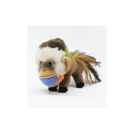 Pfauenaffe