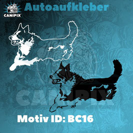 Aufkleber  Border Collie 16