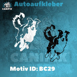 Aufkleber  Border Collie 29