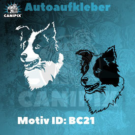Aufkleber  Border Collie 21