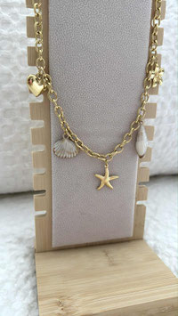 EDELSTAHL KETTE - SHELL IS HERE
