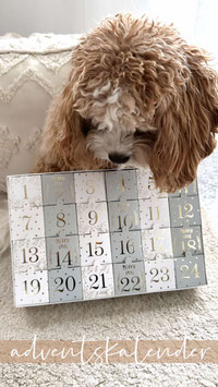 LIMITIERTER LADIMA ADVENTSKALENDER