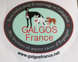 Autocollant intérieur ou extérieur GALGOS FRANCE