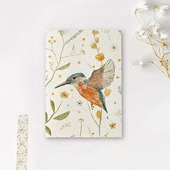 ENKELE KAART IJSVOGEL - ART BY MEER