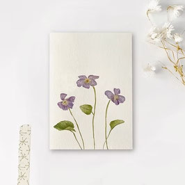 ENKELE KAART VIOOLTJES - ART BY MEER