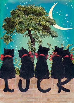GL007 ZWARTE KATTEN OP EEN RIJ - MADAME TREACLE