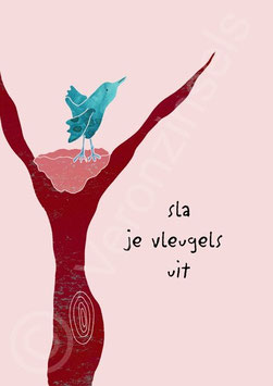 VLEUGELS - VERONZINSELS (209)