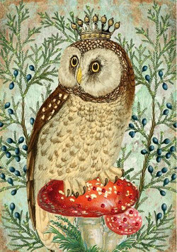 XM 086 OWL & CROWN - MADAME TREACLE
