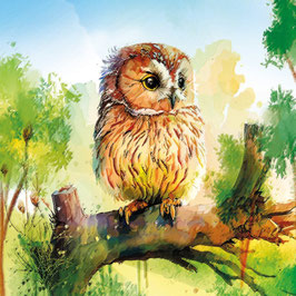 FA 012AOWL (FINE ART)