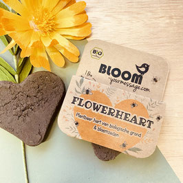 FLOWERHEART - BLOOM YOUR MESSAGE