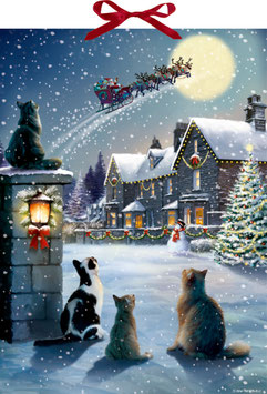 ADVENTSKALENDER KITTEN CHRISTMAS (95602) - COPPENRATH