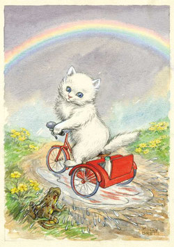 PCE 354  WHITE KITTEN ON A TRICYCLE