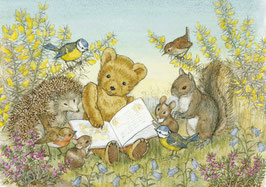 PCE 040 READ US A STORY, TEDDY