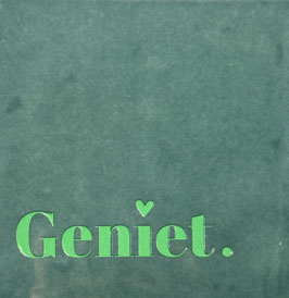 GENIET (ZEEGROENE TEGEL, GROENE TEKST) - YETT AGENTUREN