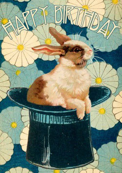 HB160 OUT OF THE HAT KONIJN UIT HOED - MADAME TREACLE
