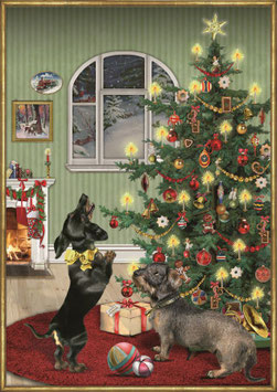 ADVENTKALENDER MET TECKEL - COPPENRATH