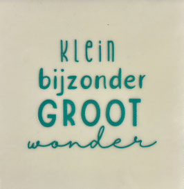 KLEIN BIJZONDER GROOT WONDER (CREME TEGEL, AQUA TEKST) - YETT AGENTUREN