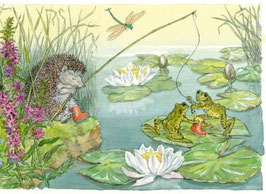 PCE 321 A DOZY HEDGEHOG FALLS ASLEEP WHILE FISHING IN A POND