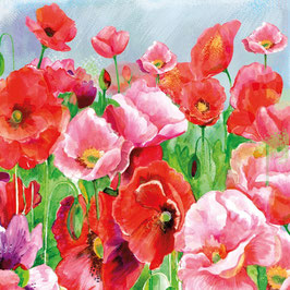 FA 019 KLAPROZEN (FINE ART)