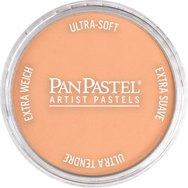PanPastel - Burnt Sienna Light
