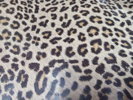 PAPEL COUCHE BRILLANTE IMPORTADO No. IMP491