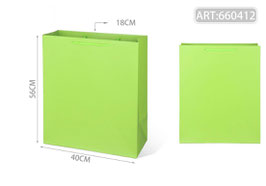 BOLSA PLASTIFICADA VERTICAL MEGA 660412 VERDE LIMON