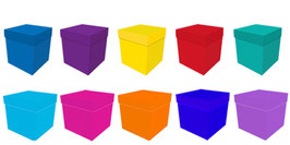 CUBO COLOR MIC 25X25