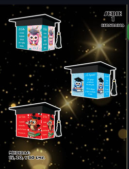 TORRE DE CUBOS GRADUACION CAPLE SERIE 1