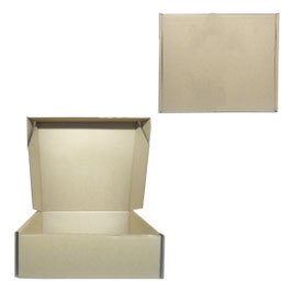 CAJA TIPO RELF PARA LONCH PACK MICROCORRUGADO