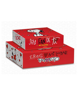 CAJA RIGIDA CAMISERA CHICA SNOOPY