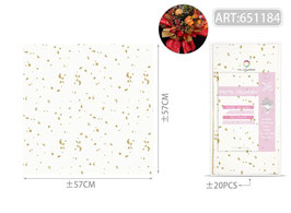 PAPEL COREANO 651184