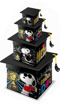 TORRE DE CUBOS SNOOPY META SUPERADA