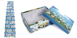 SETS DE 10 PIEZAS DS42650