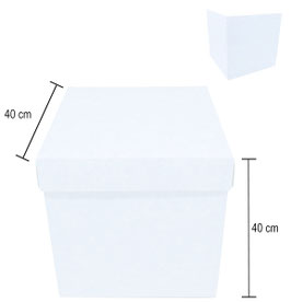 CUBO BLANCO 40X40