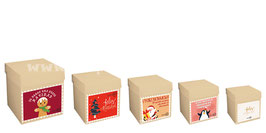 CUBO 30X30 POSTAL NAVIDEÑO