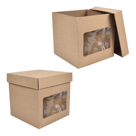 CUBO CON VENTANA 25X25X25