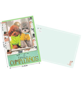 TARJETA BX09950