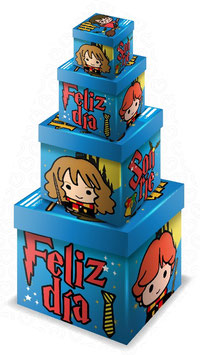 TORRE DE CUBOS PLASTIFICADOS RIGIDOS HARRY POTTER